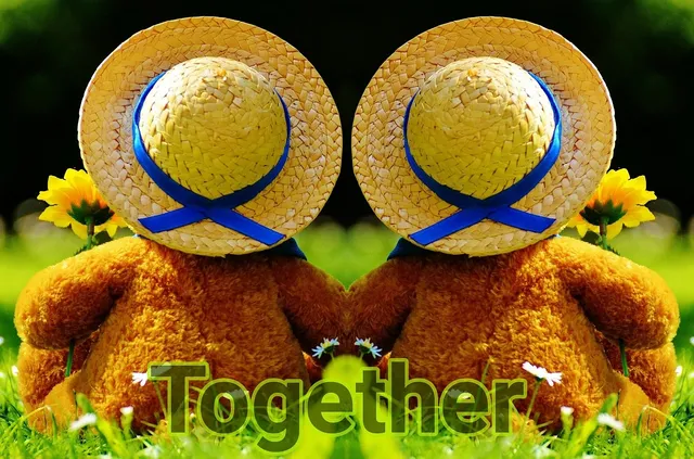 Picture